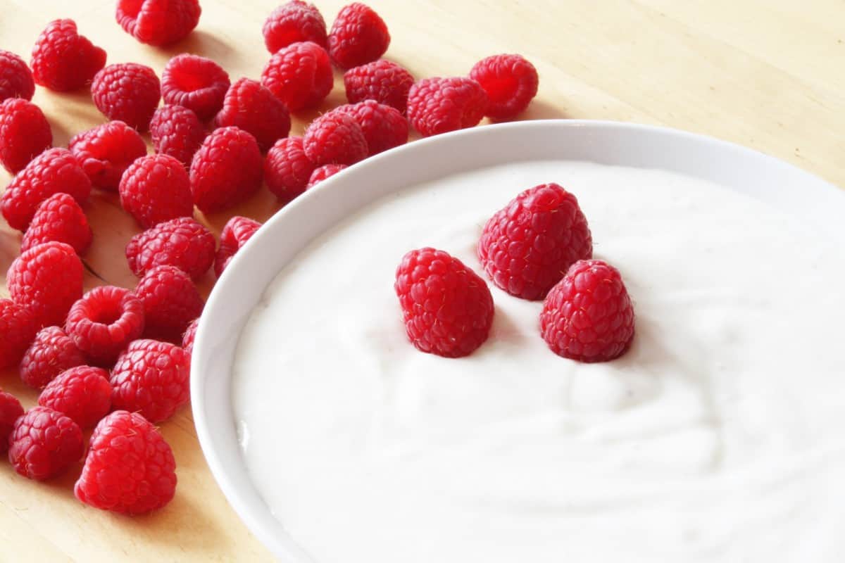 What Does Natural Yogurt Taste Like? (+Ideas and Toppings) Natural