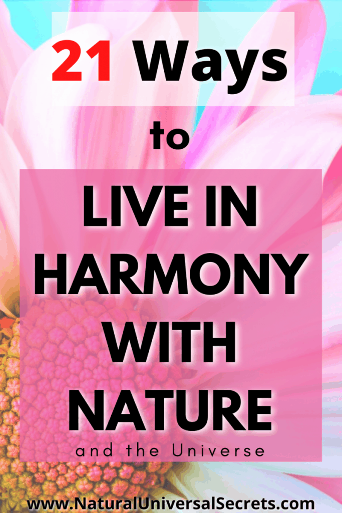 21 Ways to Live in Harmony with the Universe Natural Universal Secrets